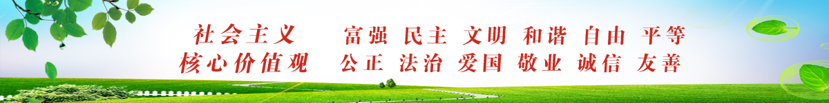 湖南托雅 湖南托雅